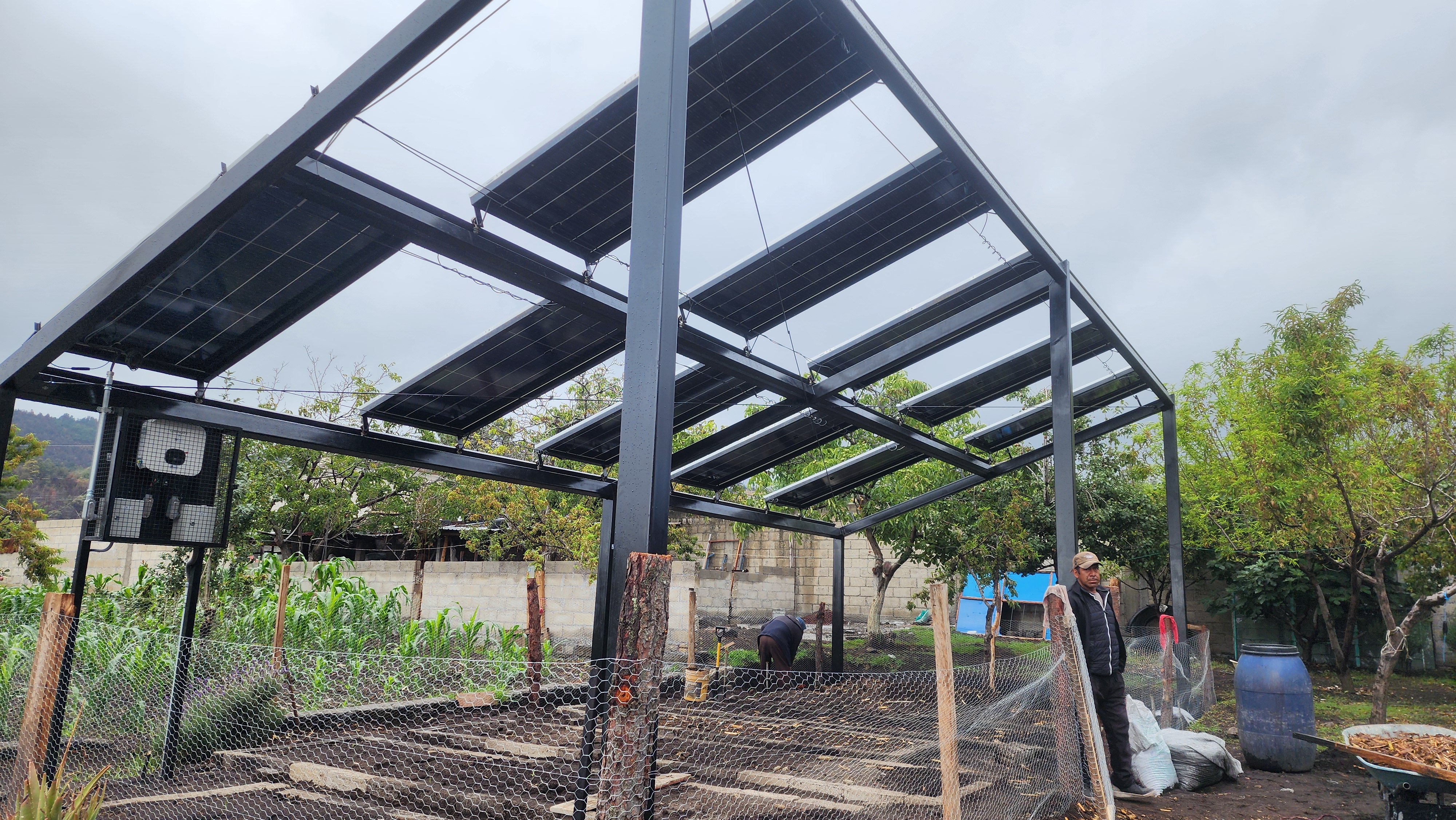 Paneles solares agroecológicos en Xalitzintla